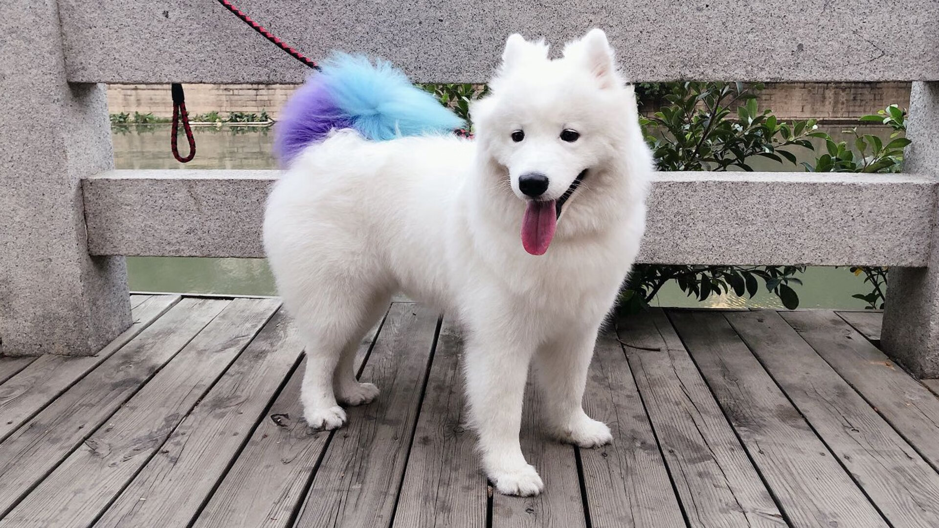 场面激烈:双方攻防对抗让比赛紧张刺激!,比赛双方的对抗十分激烈