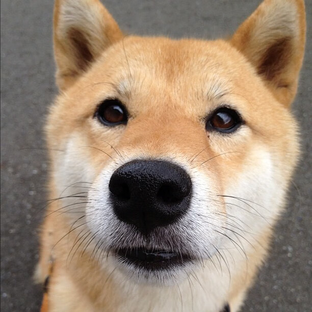 国际泳坛新秀崭露头角,国际泳坛十大