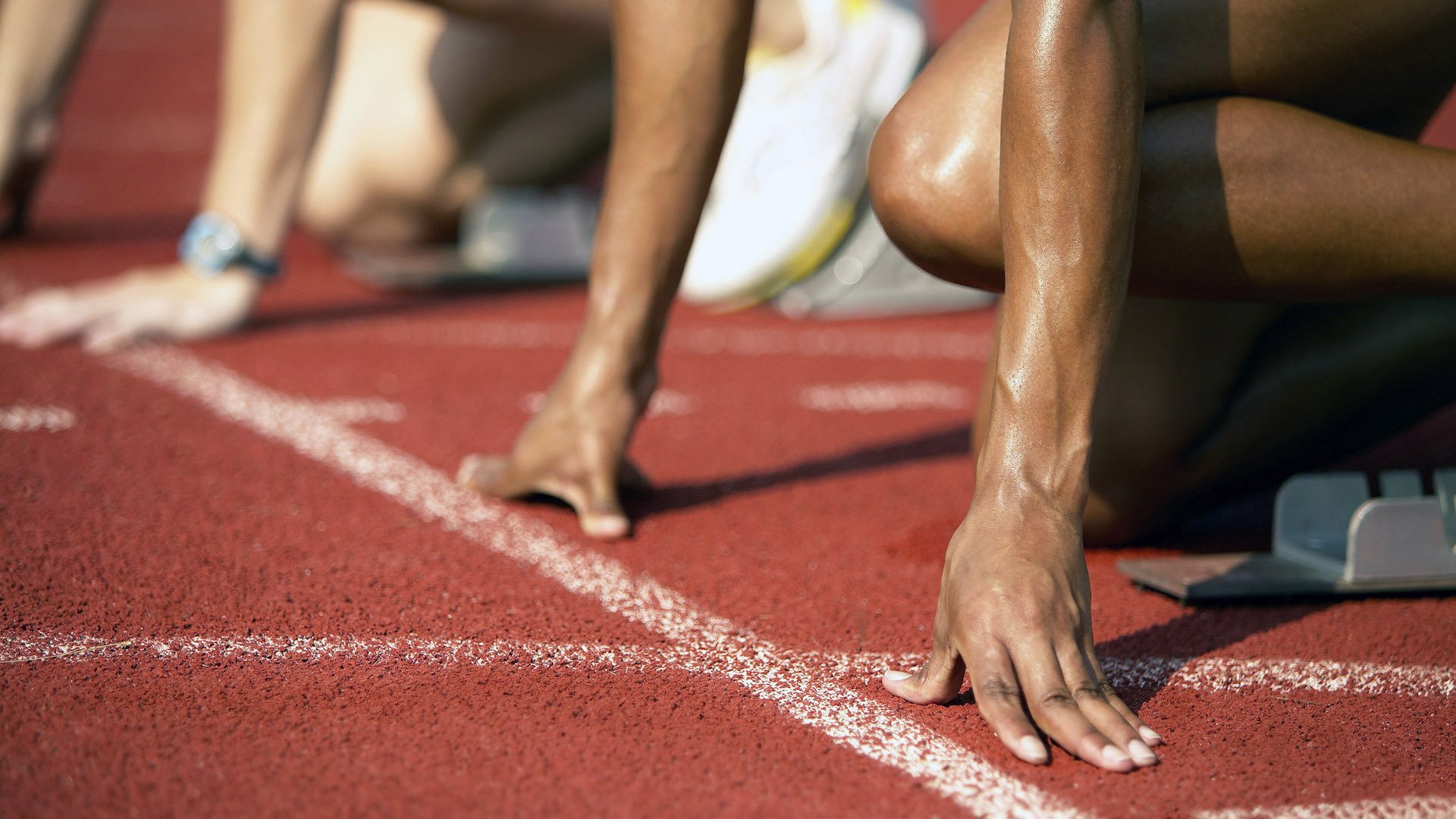 美洲杯创新的赛场环境设计，美洲杯奖杯设计