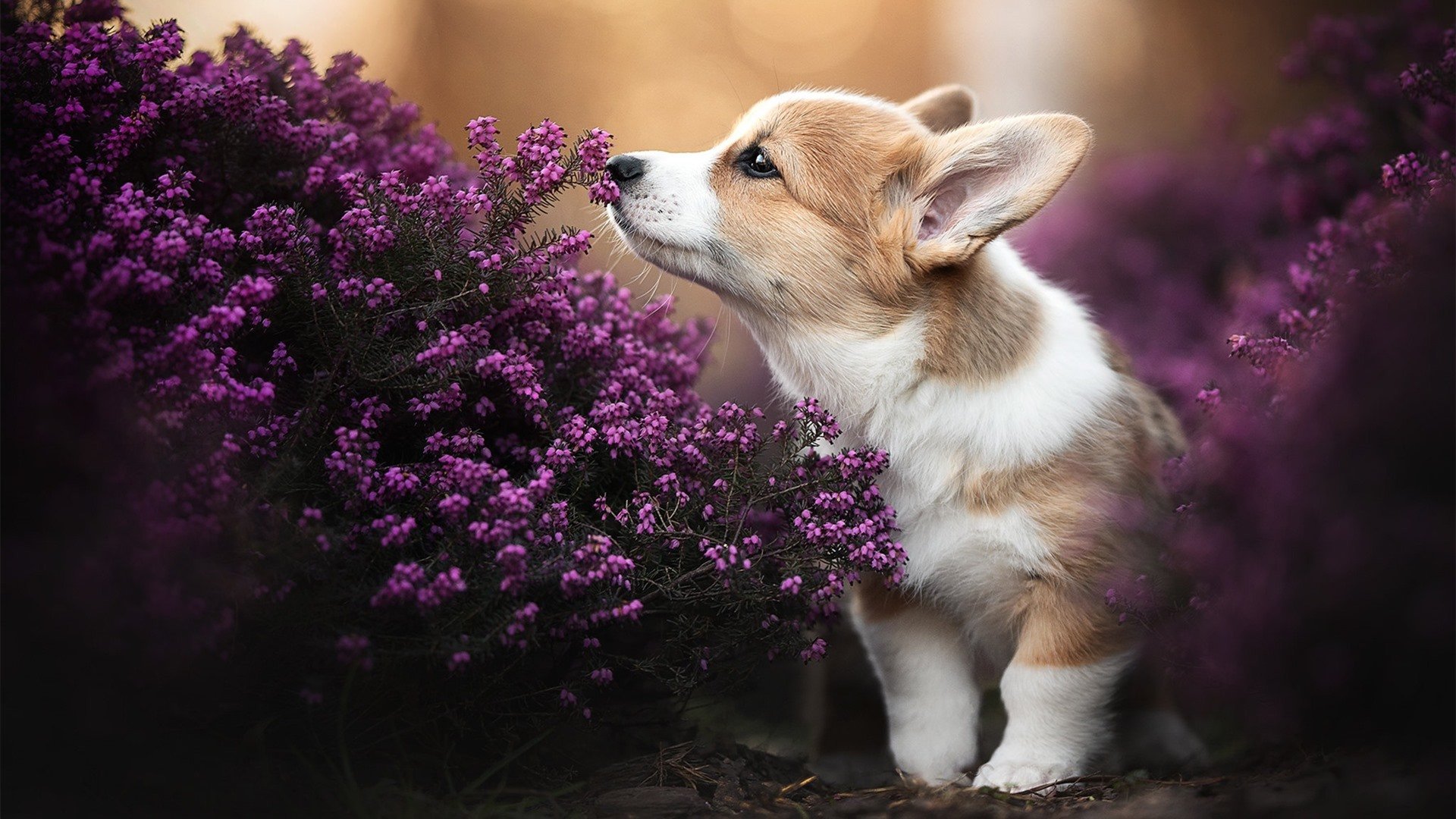 各路豪杰齐聚一堂，年度顶级赛事火热举行，各路豪杰汇聚于此